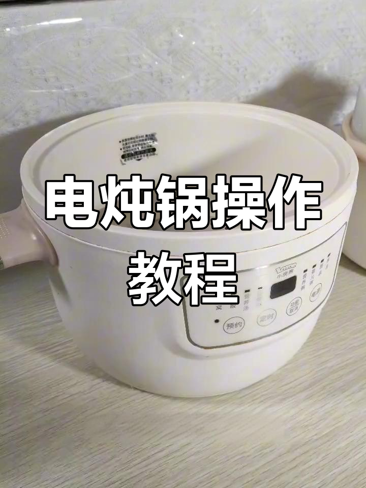 隔水电炖锅使用全流程