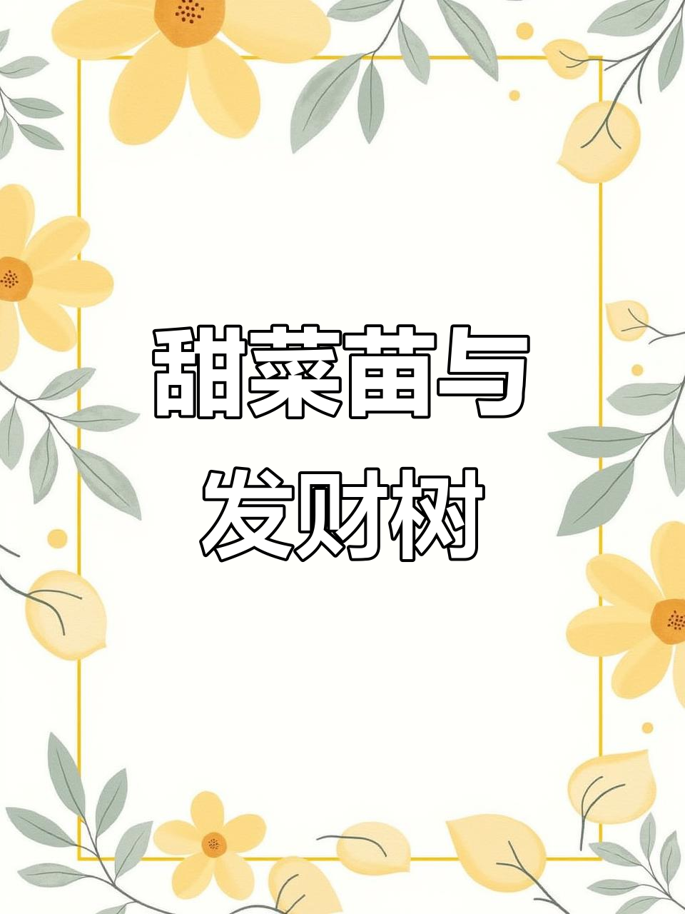 长蕊甜菜苗与发财树,前景无限,机会难得