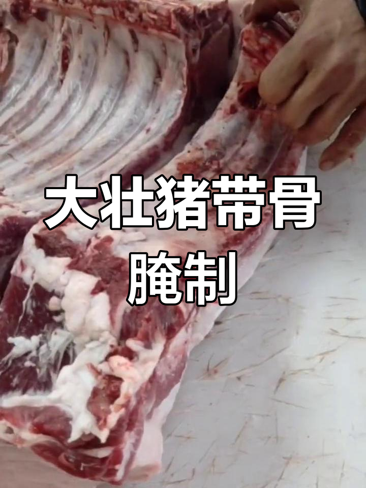 新鲜宰杀土黑猪肉,腰条排骨炖汤香浓