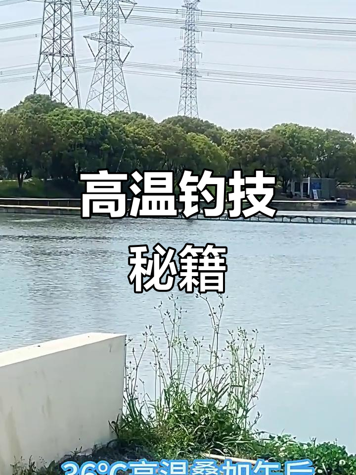 2025年6月29日 钓鱼高手必看！高温雷暴下捕鱼技巧