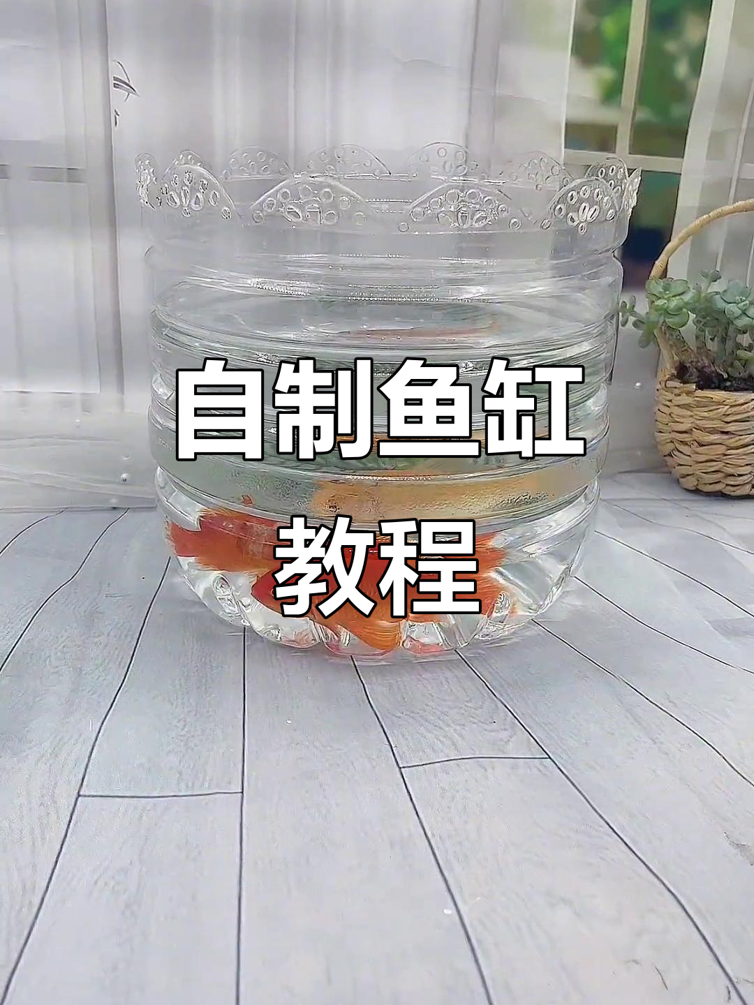 废矿泉水瓶变鱼缸,创意DIY教程