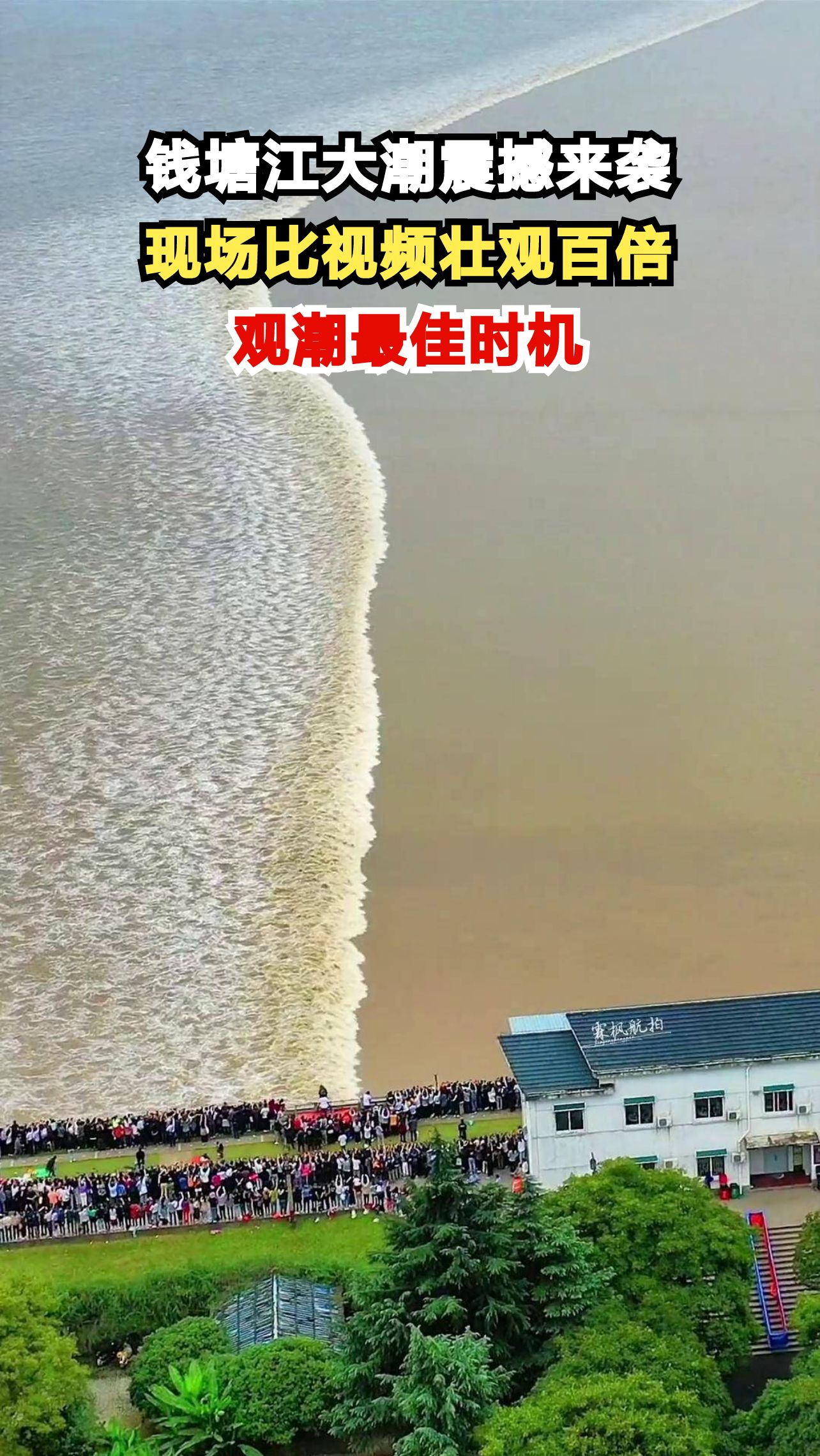 钱塘江大潮现场有多震撼？提前2小时抢位只为这一刻！