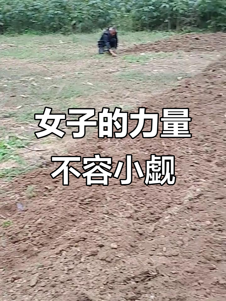 谁说女子不如男?七十岁照样能种菜籽,背不动两百斤也能搞定