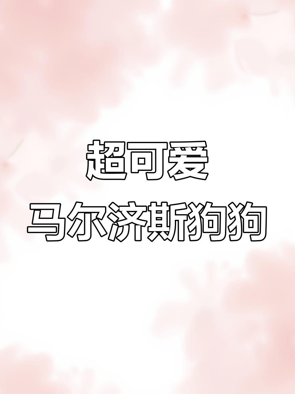 线条小狗马尔济斯,超萌表情包来袭!