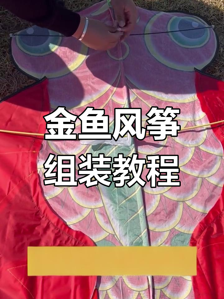 金鱼风筝组装全攻略，轻松学会放飞技巧