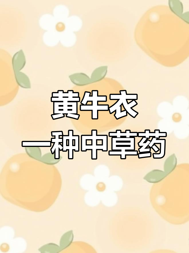 见过这种野花吗?蓬子菜,俗称黄牛衣,竟是中药材!