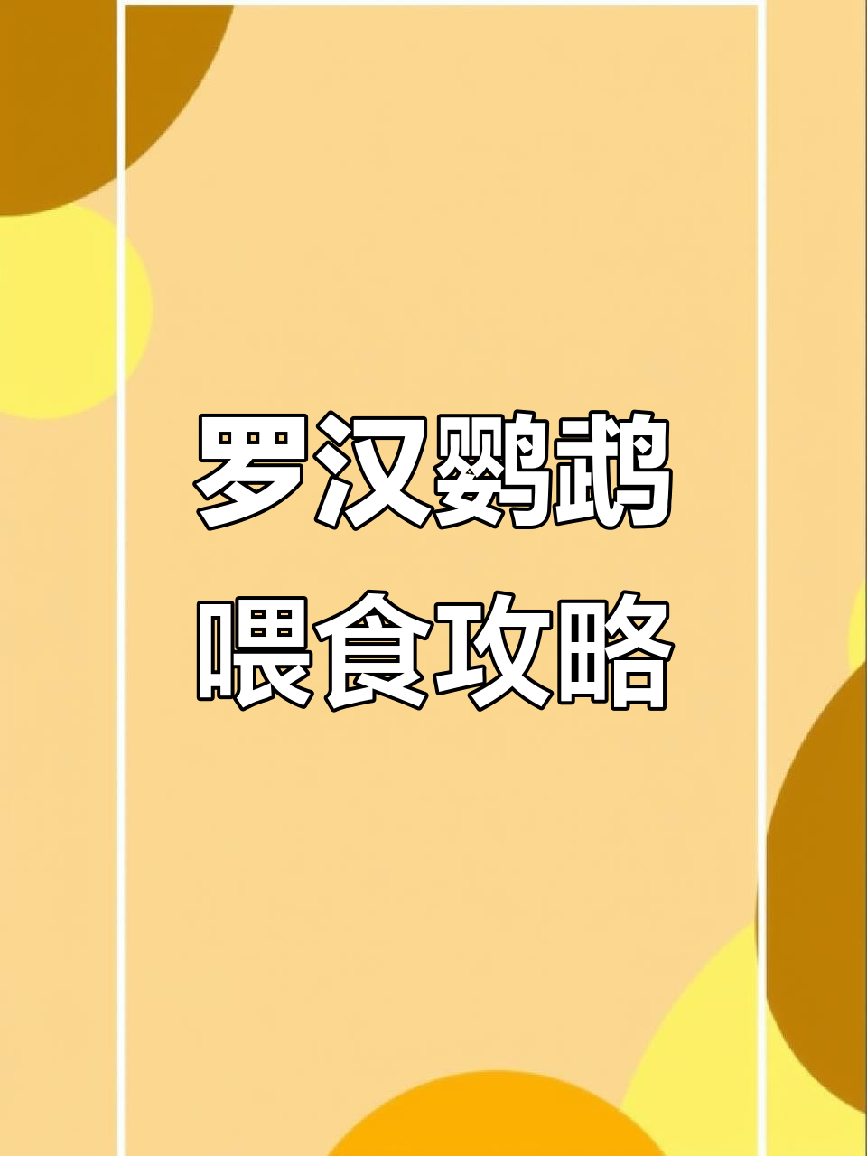 热带鱼混养投食技巧,罗汉鹦鹉争抢食物