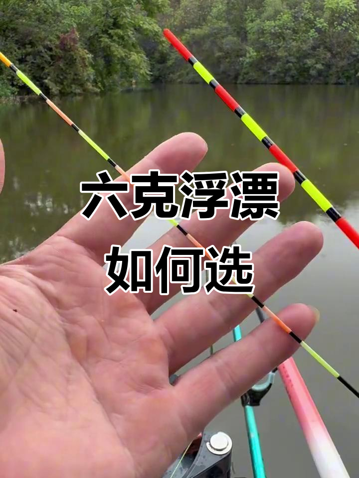 如何选择适合的浮漂?六克粗尾与细尾有何区别