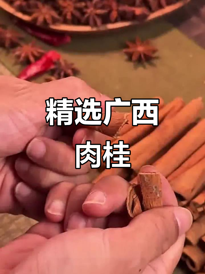 广西肉桂,传统工艺炖菜必备,香气扑鼻回味无穷