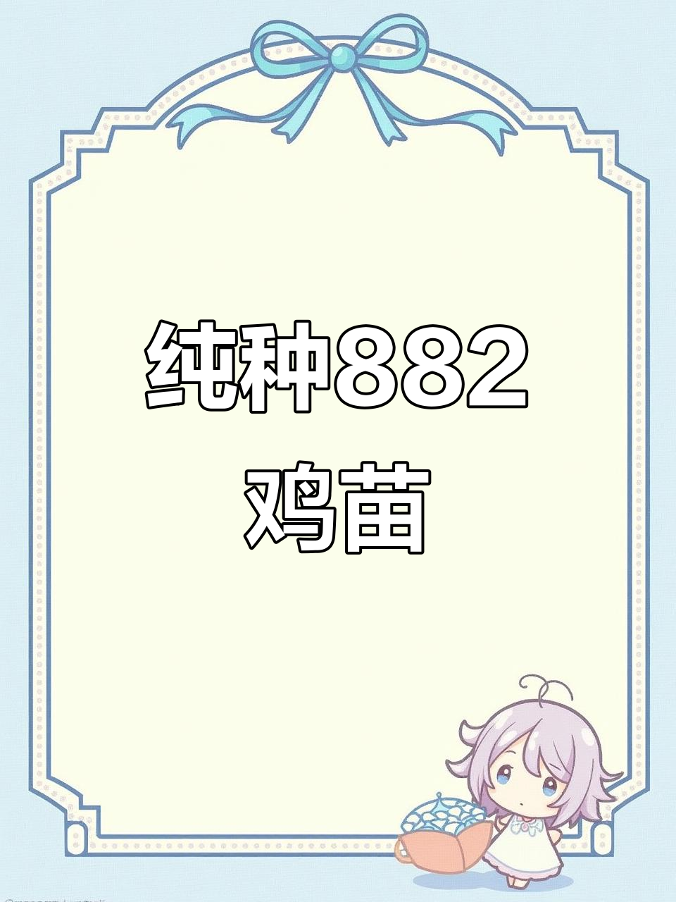 正宗882鸡苗,南北养殖皆宜,快递直达乡镇