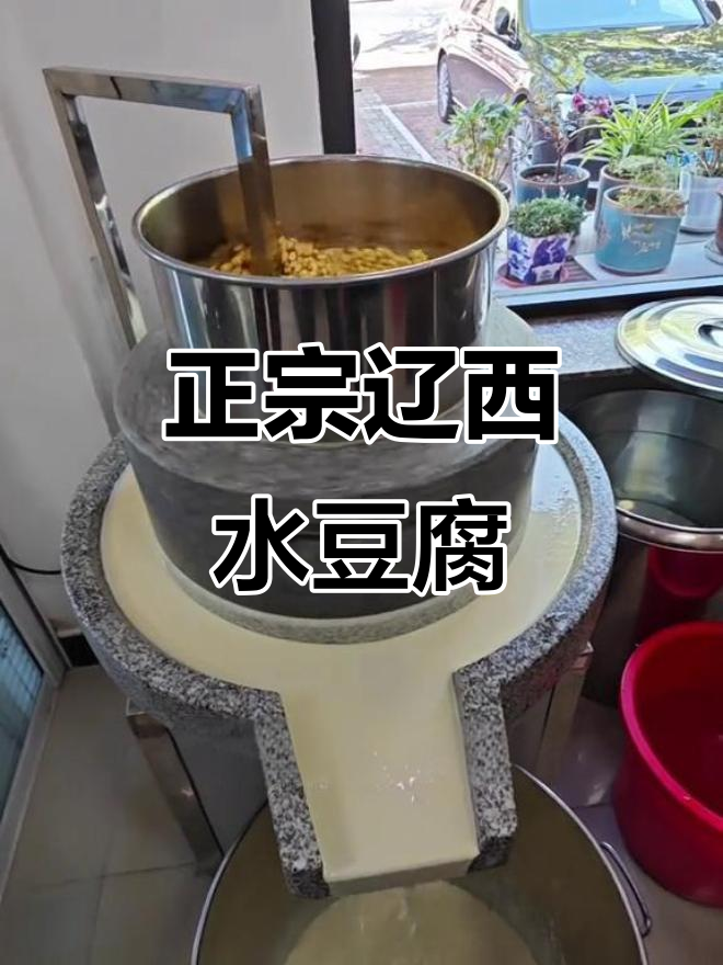 葫芦岛老字号辽西水豆腐,早餐必试热豆浆与干豆腐