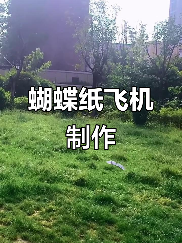 蝴蝶振翅纸飞机教程,轻松折出仿生飞行器