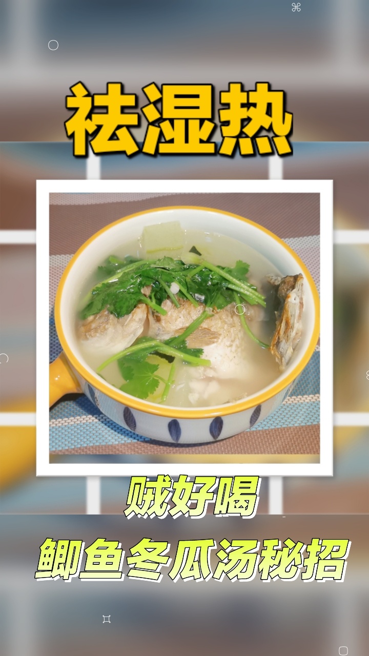 祛湿热,鲫鱼冬瓜汤