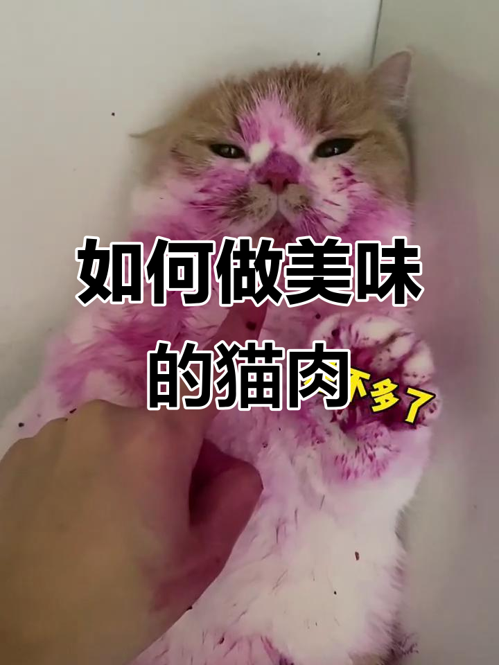 猫肉怎么做才好吃?在线等,急!
