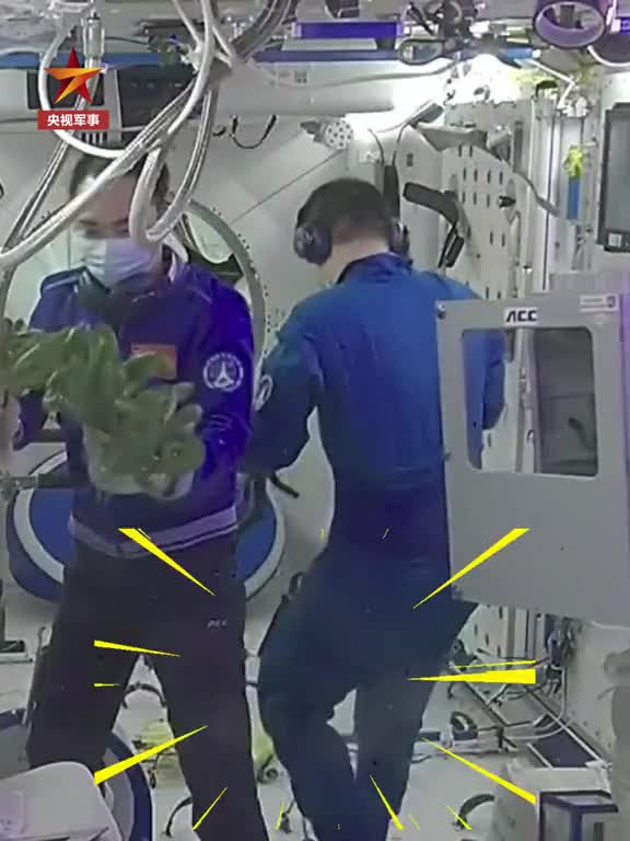 「视频」“给我一包种子,绿化宇宙～”中国空间站菜园子丰收啦!