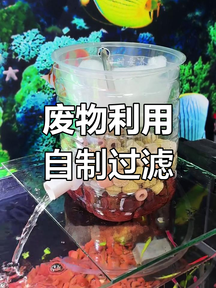 用废旧饮料瓶DIY鱼缸过滤器,简单又实用