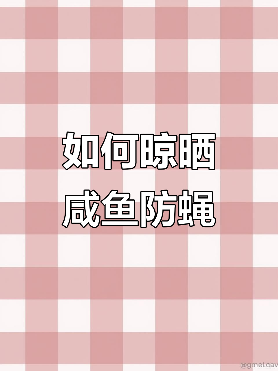 晒咸鱼不抓苍蝇的秘诀,教你如何轻松搞定