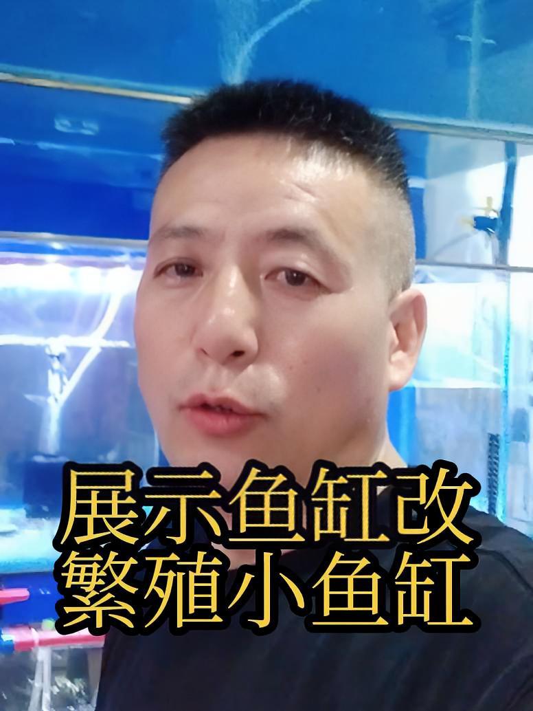 长一米的展示鱼缸如何巧改为繁殖小缸,简单又方便 创作灵感上热门 鱼缸改装 养鱼日记