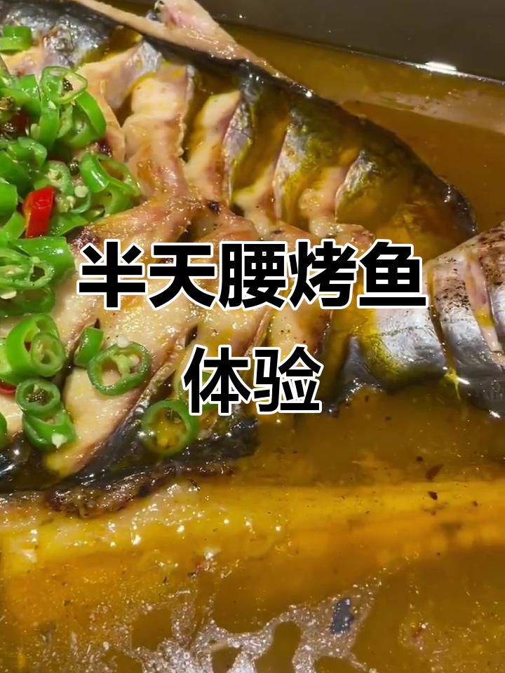 洛阳半天妖烤鱼：米饭配汤汁，酸菜鱼肉更下饭