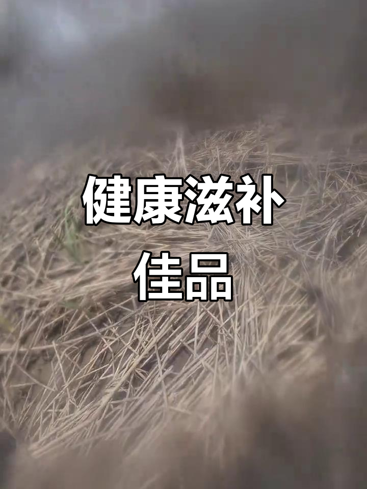 中华乌塘鳢,滋阴补肾、促进愈合、预防三高