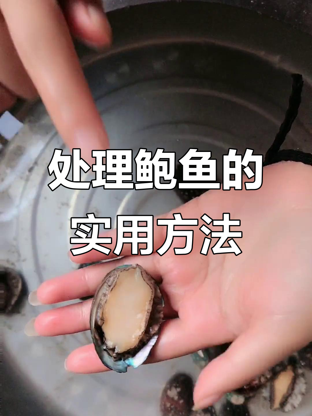 简单步骤教你处理鲍鱼,轻松去内脏