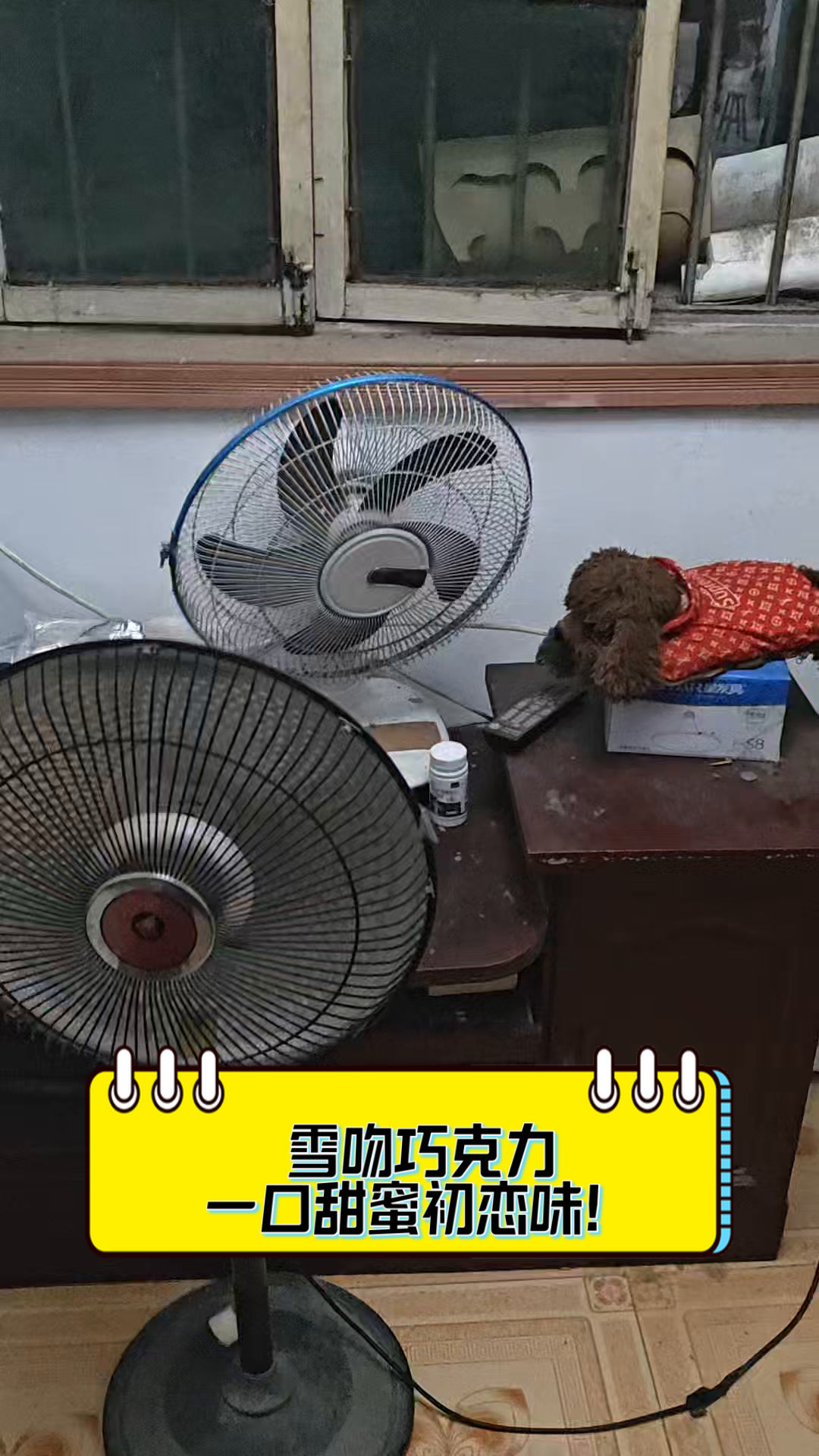 雪吻巧克力,一口甜蜜初恋味!