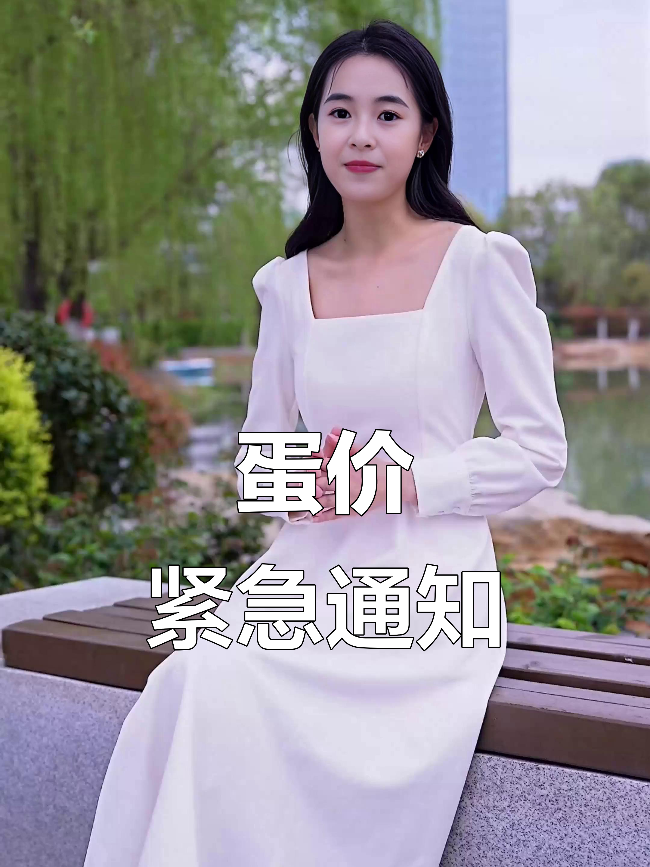 9月9日鸡蛋价格大变动,全国市场最新行情解析