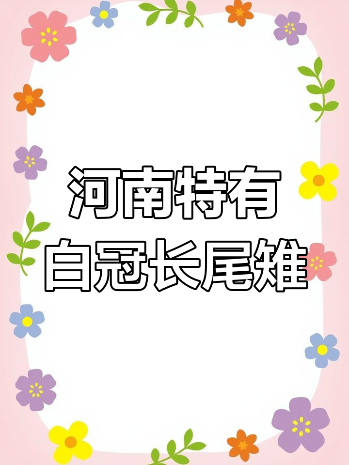 白冠长尾雉:河南省的珍稀鸟类