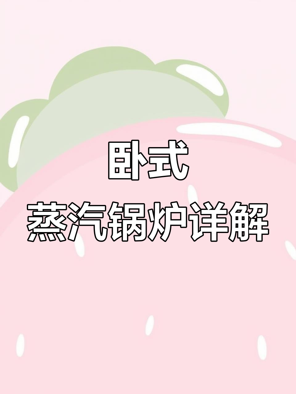 卧式反烧蒸汽锅炉全方位解析：清理与维护全流程
