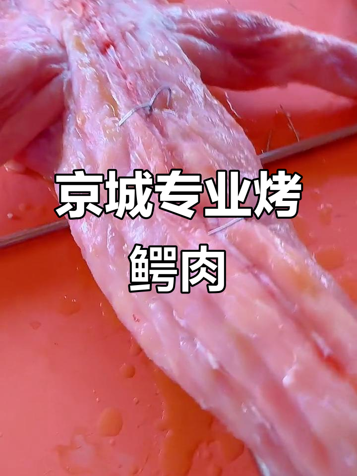 北京刘记烤鳄鱼,鲜嫩美味不容错过