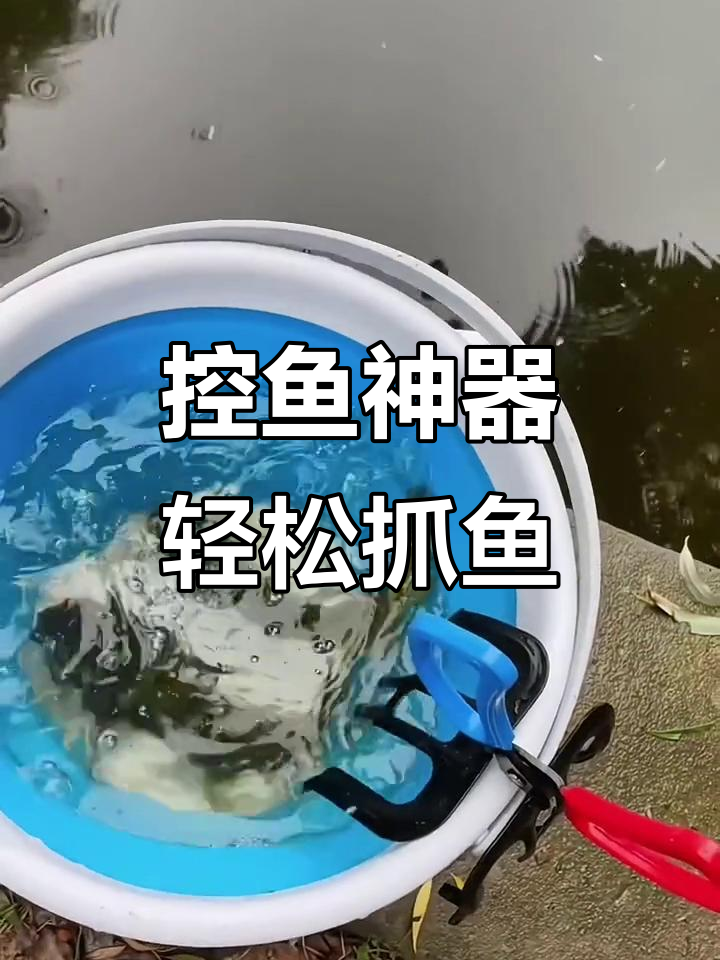 罗非鱼和小黄鸭必备!这款夹鱼器让钓鱼更轻松,不沾水、不伤手