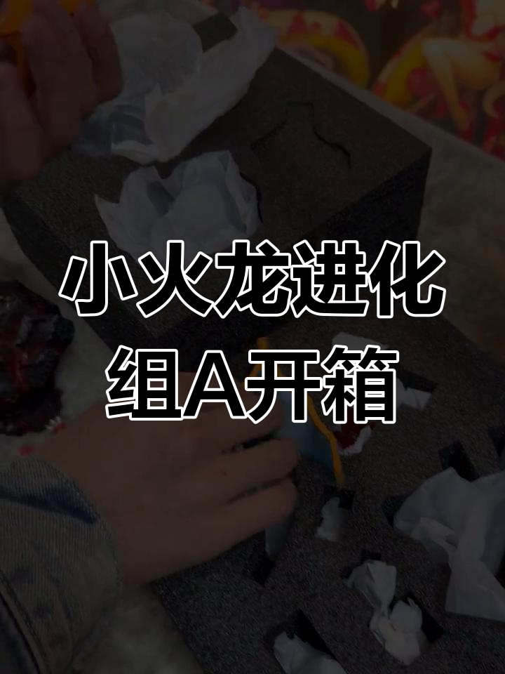 真新镇小火龙进化组A开箱,火恐龙与喷火龙的完美呈现