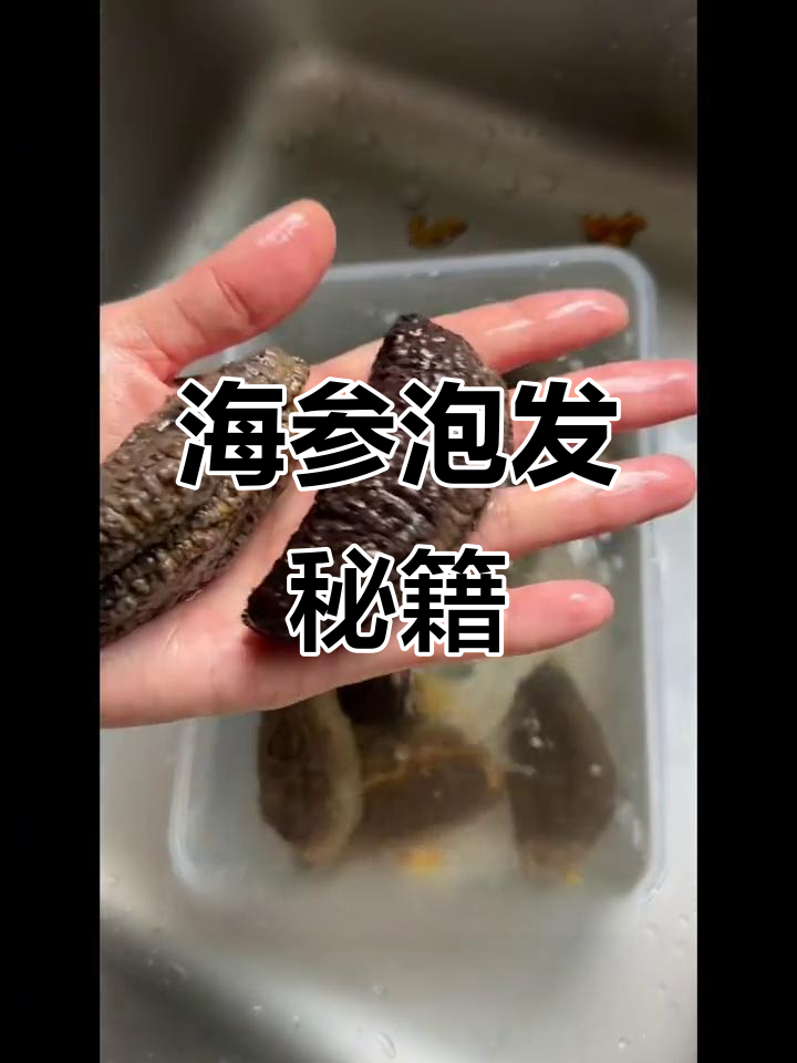 北极参泡发秘诀:冷藏、煮沸,轻松变大!