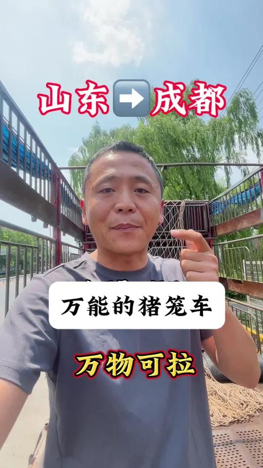 拉猪小伙改行拉大葱,万能的拉猪车从山东发往成都 1800公里