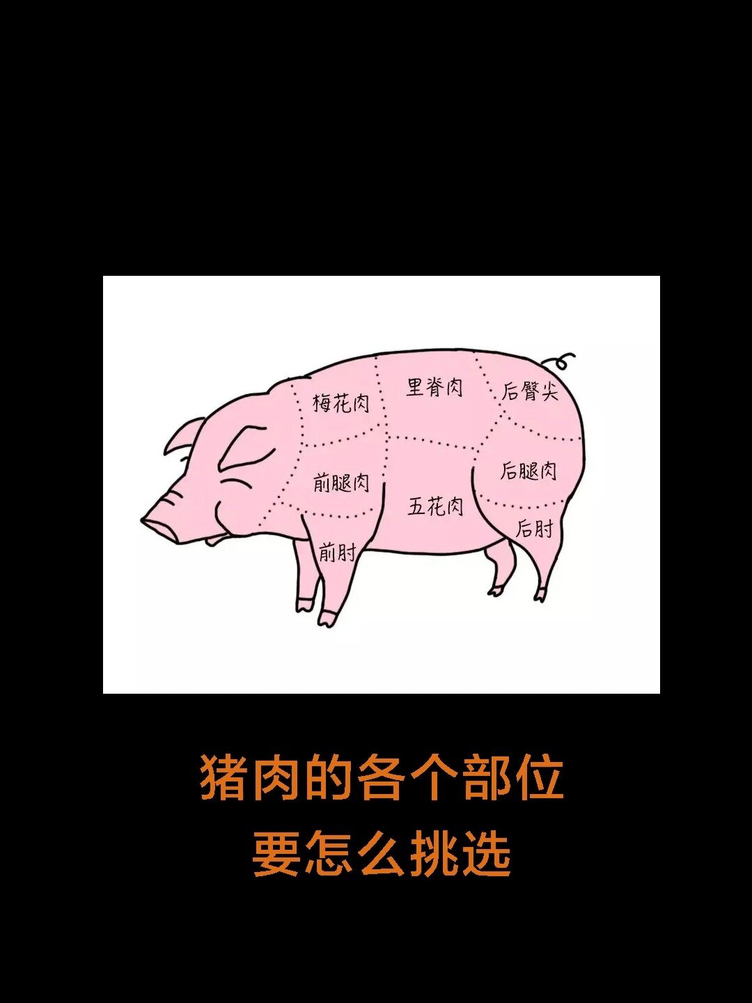 猪肉各个部位要怎么挑选?