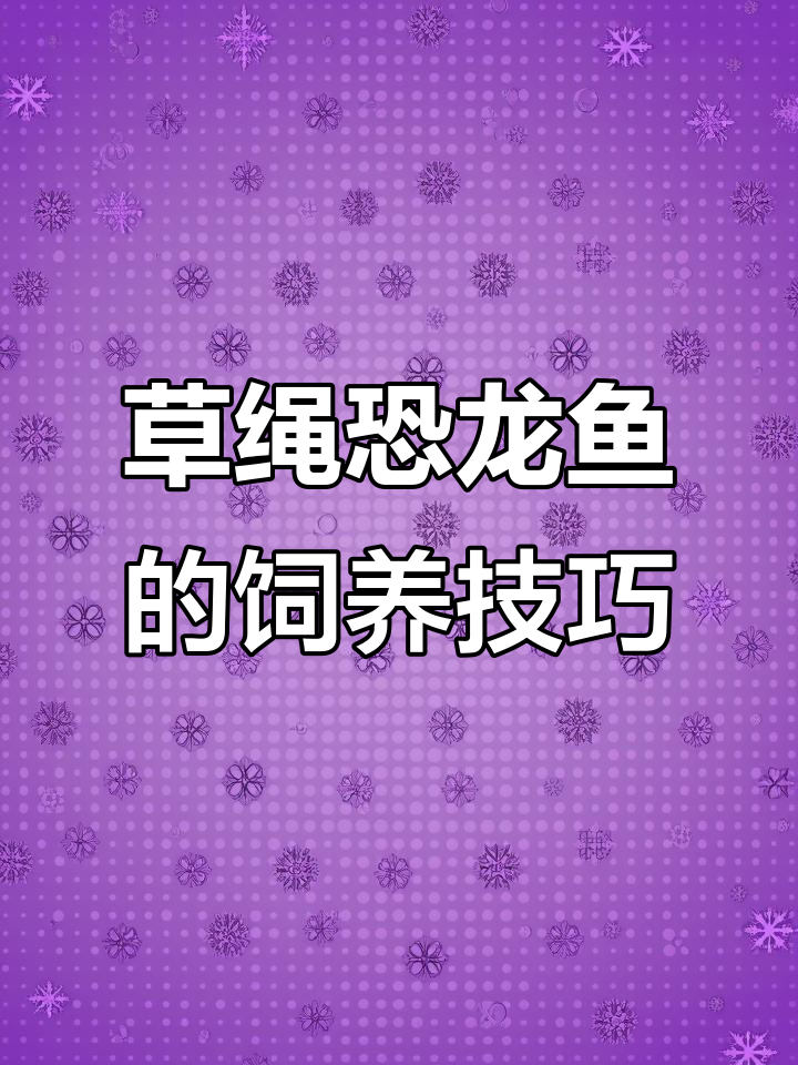 草绳恐龙鱼：远古龙种，跳缸必备防备
