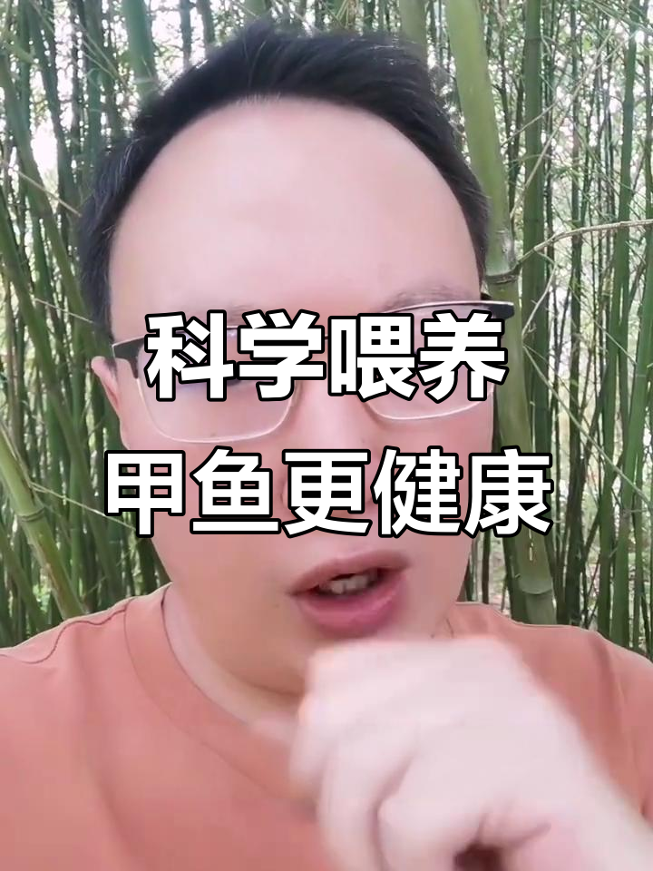 甲鱼养殖技巧:高温、生病、恶劣天气下的喂食调整