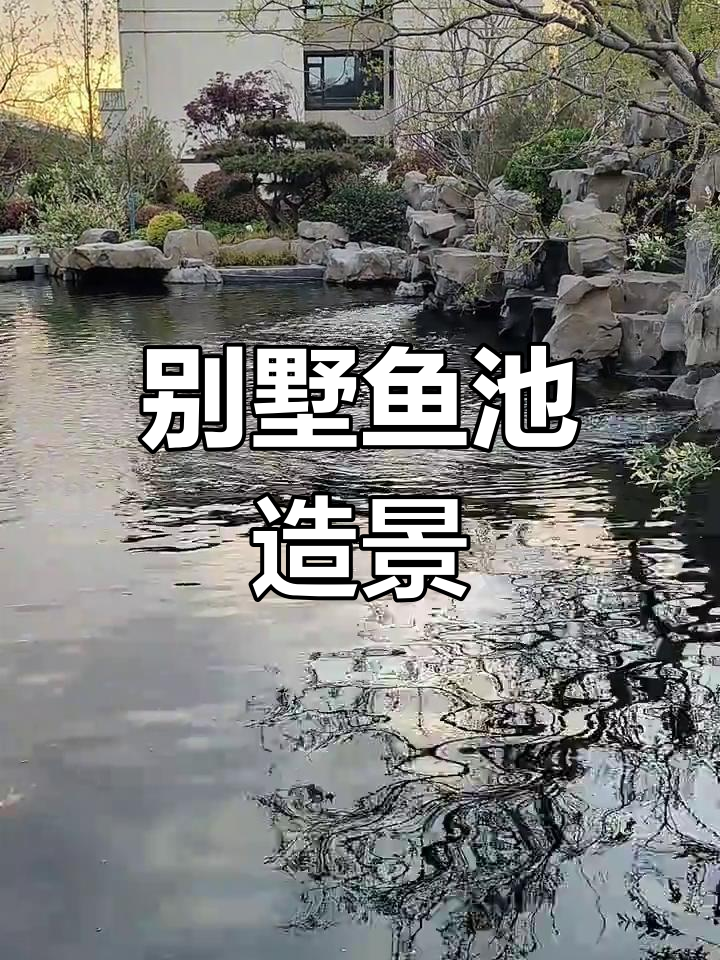 别墅鱼池景观设计:打造室外水系美景