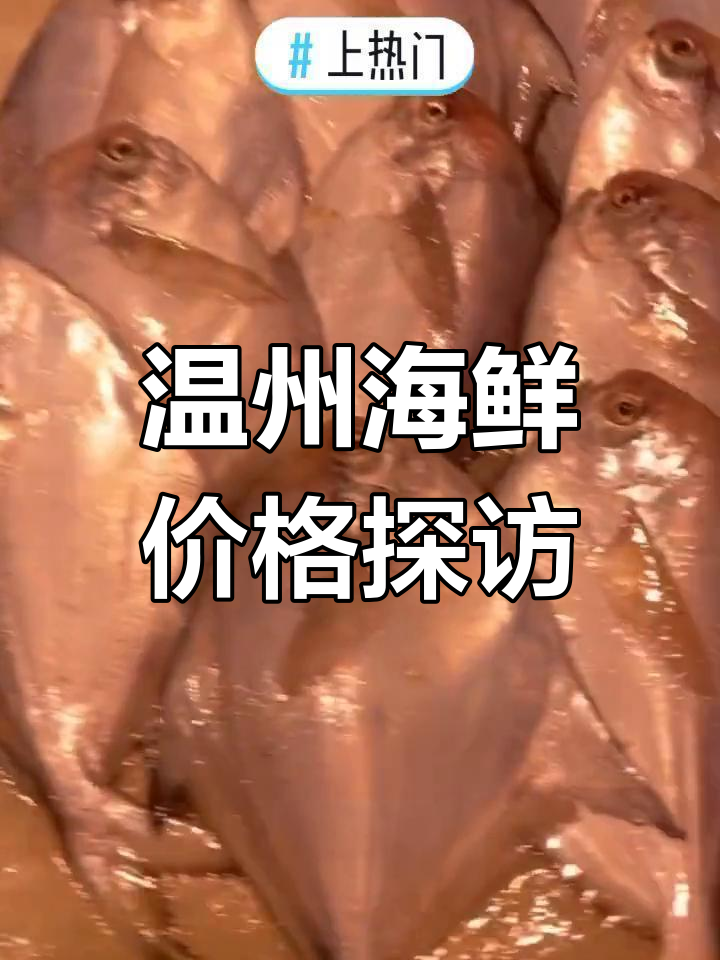 温州海鲜价格大揭秘,超值代购不容错过!