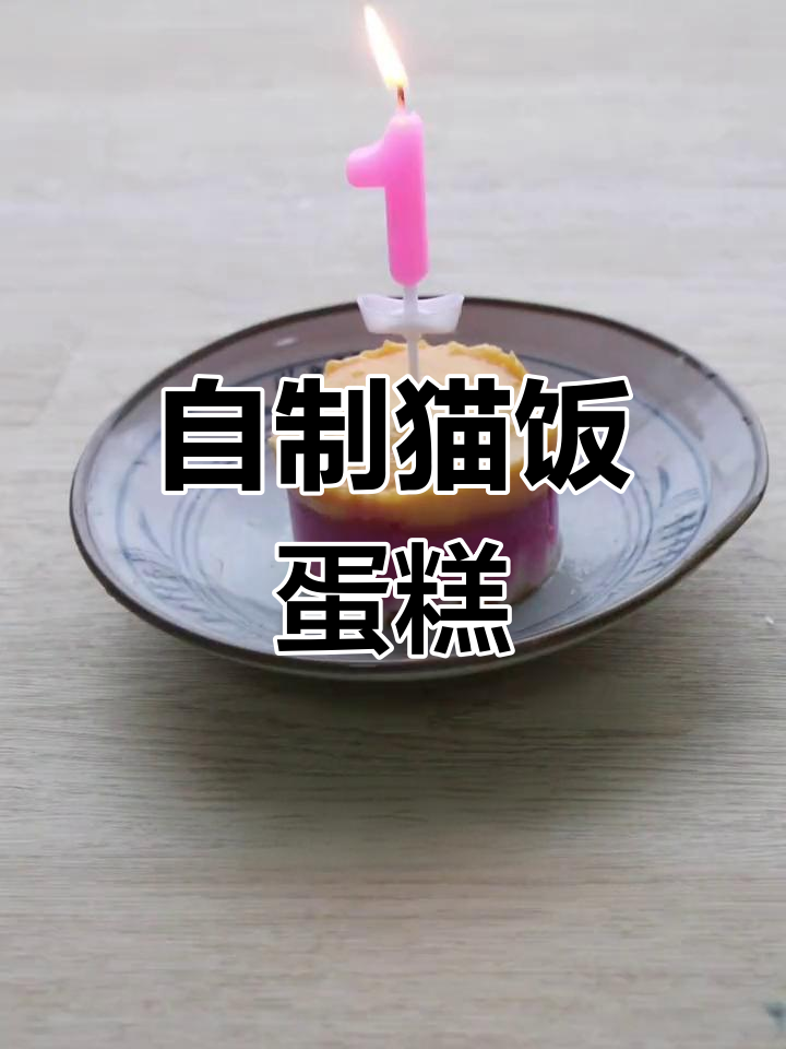 猫咪生日蛋糕DIY,简单又美味!