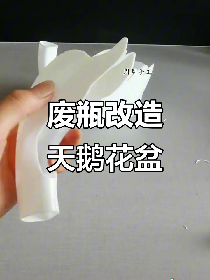 废旧洗衣液瓶变天鹅花盆，简单步骤教你DIY创意手工