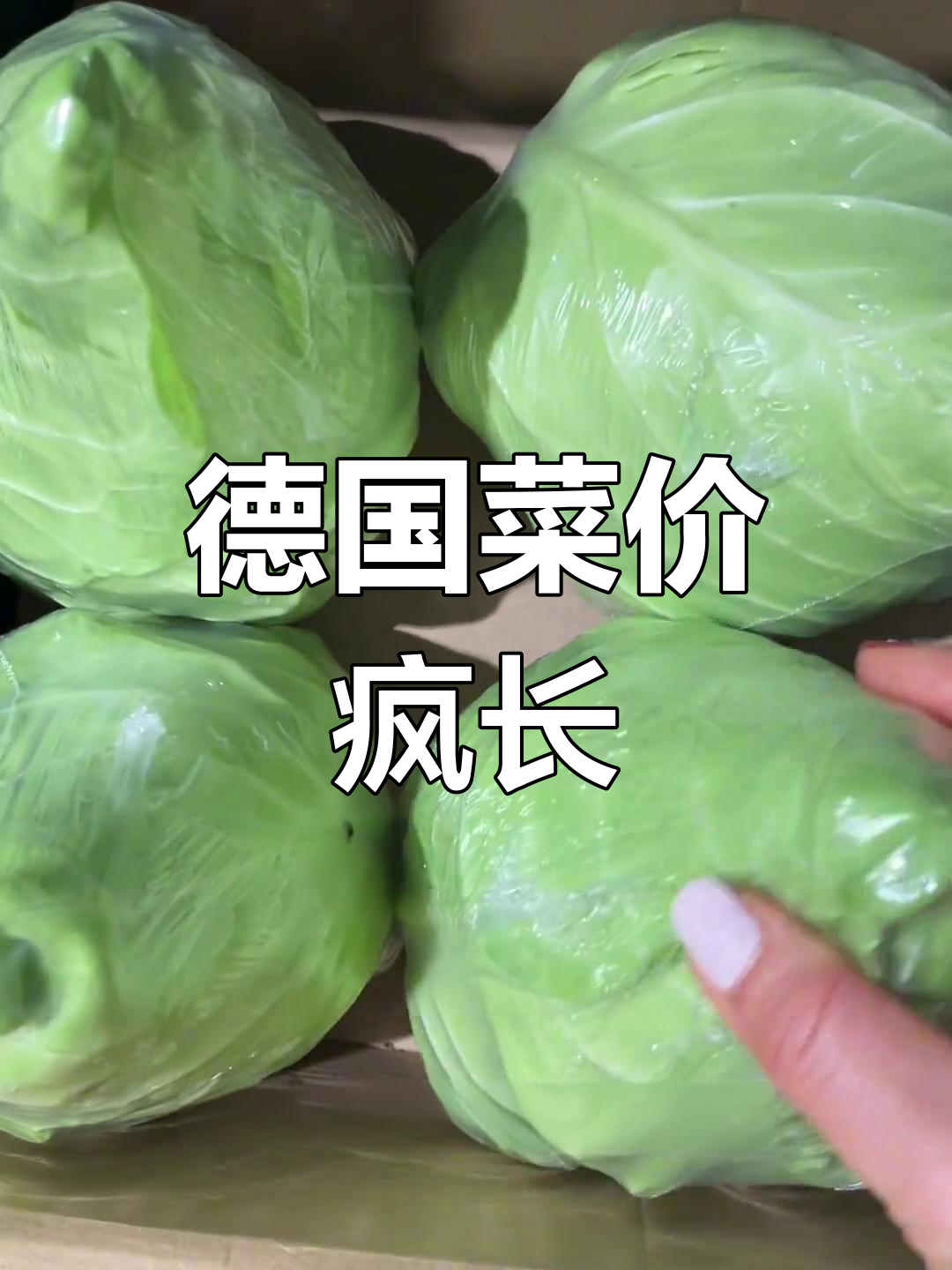 德国蔬菜价格暴涨,连大白菜都成了奢侈品