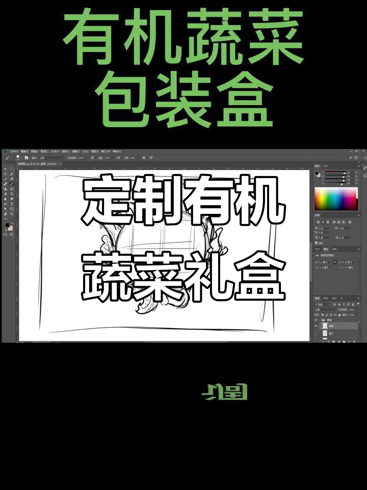 有机蔬菜包装盒设计:从概念到成品全流程展示