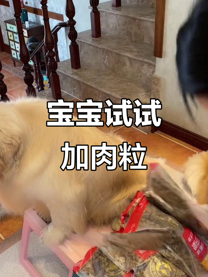 挑嘴宝宝必试！添加20%牛肉粒，营养更丰富