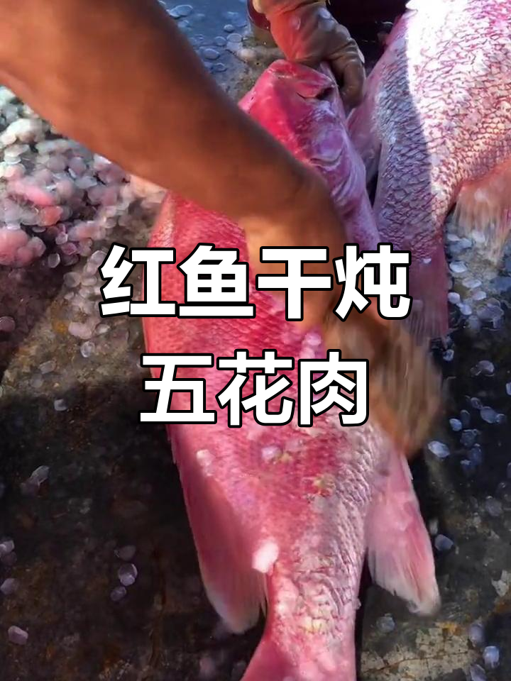 海南红鱼干,炖五花肉风味独特