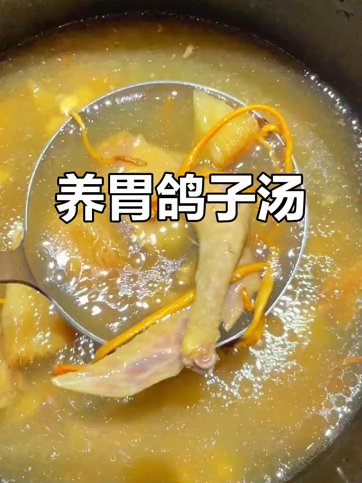 秋季滋补鸽子汤,猴头菇助你养胃暖心