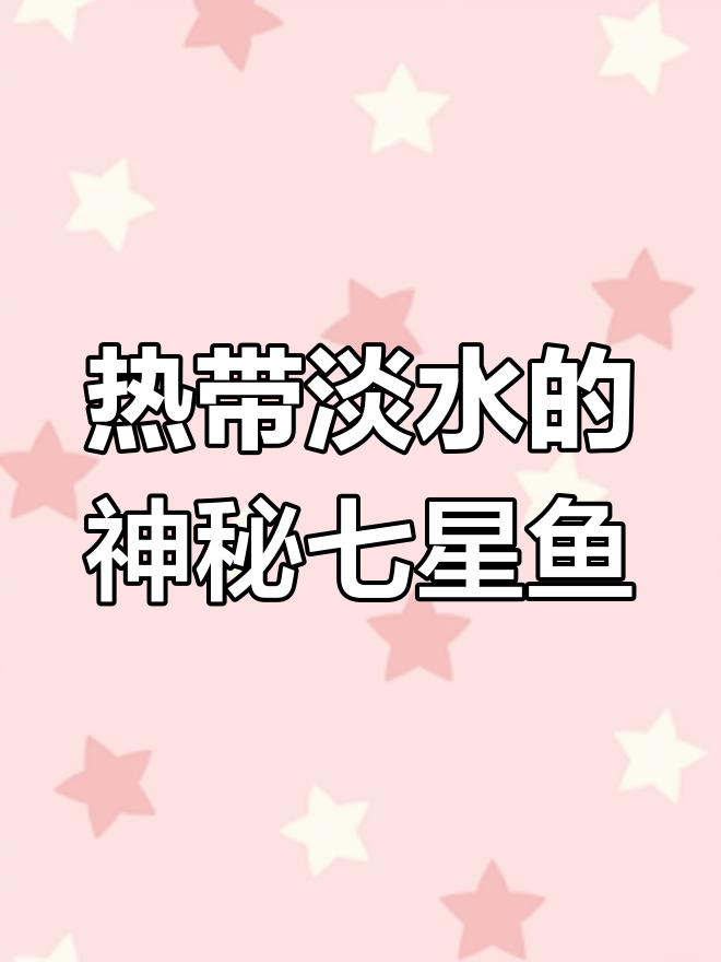 淡水湖中的“黄鱼”,七星鱼的秘密你了解吗?