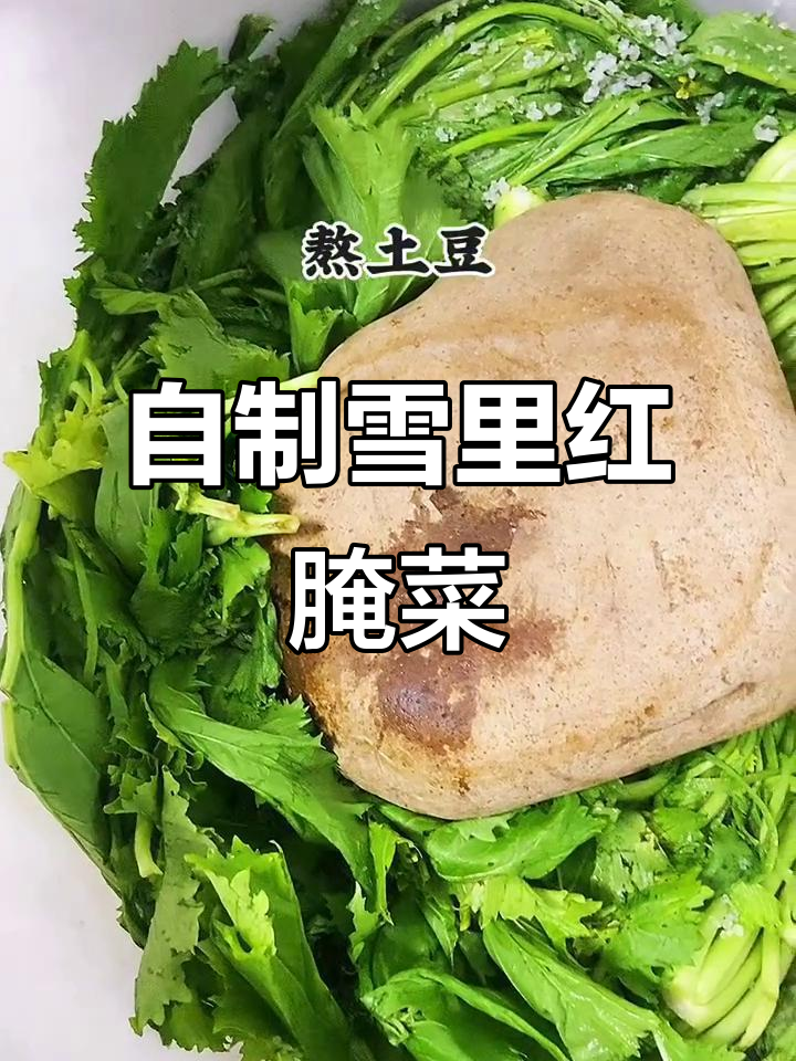 雪里红腌菜全攻略，教你轻松做出美味佳肴