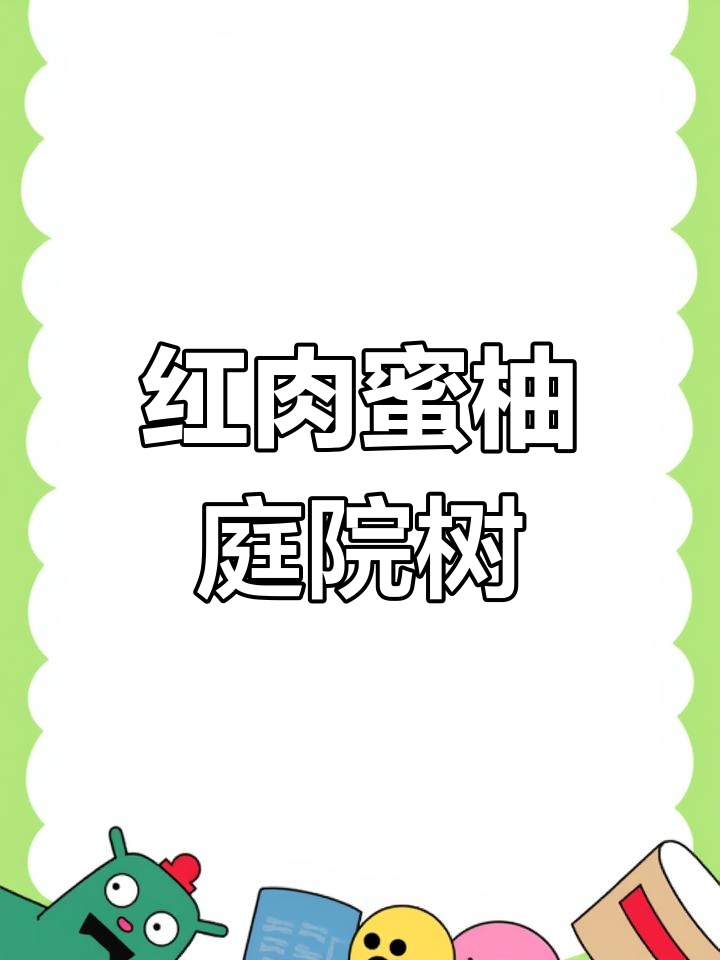 七公分红肉蜜柚树苗,庭院种植首选