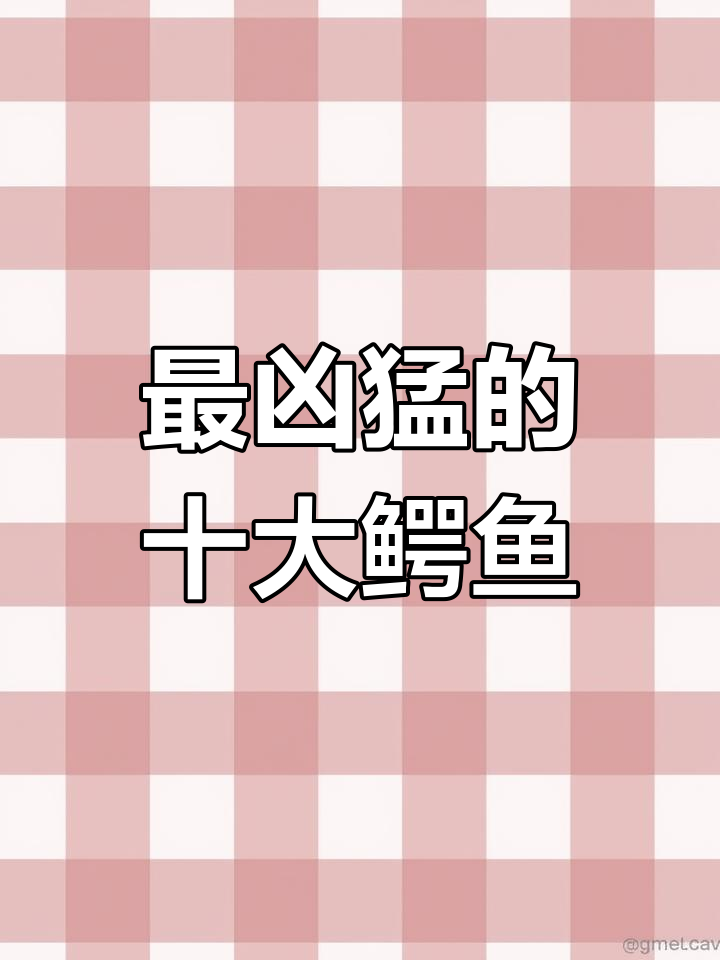 世界上最危险的鳄鱼排名:古巴鳄居首